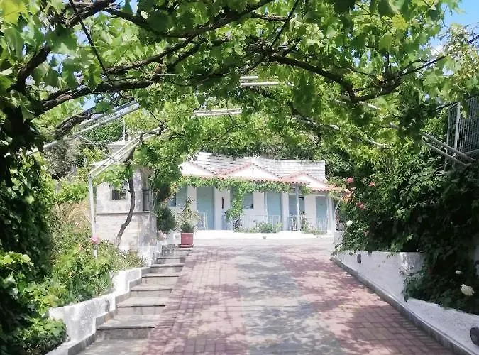 έλσα Ξενοδοχείο